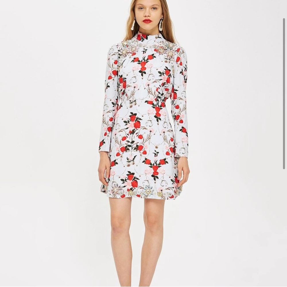 Topshop embellished rose-print mini dress size 10
